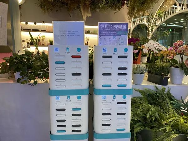 "3·15"调查丨共享充电宝价格为何一涨再涨?