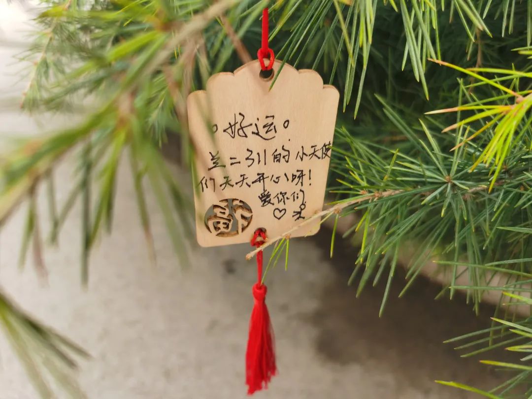 端升楼前许愿树写下1001个愿望