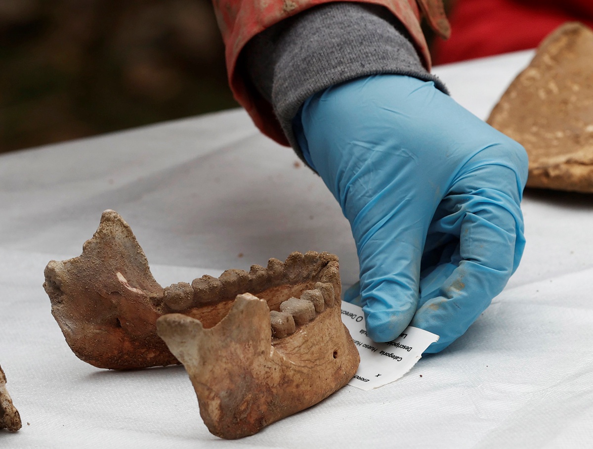 西班牙北部发现史前人类骨骼：距今已有11700多年