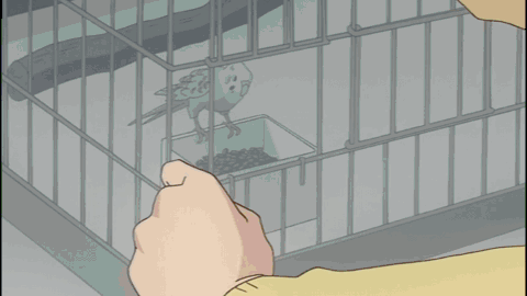 “在房间内追逐小鸟”无实物表演（05版EP03）