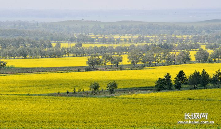 河北扎实推进国土空间规划编制工作.资料图片