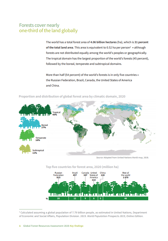 全世界的森林哪里在哪里增加又在哪里流失?哪些地区全球森林占比最高?