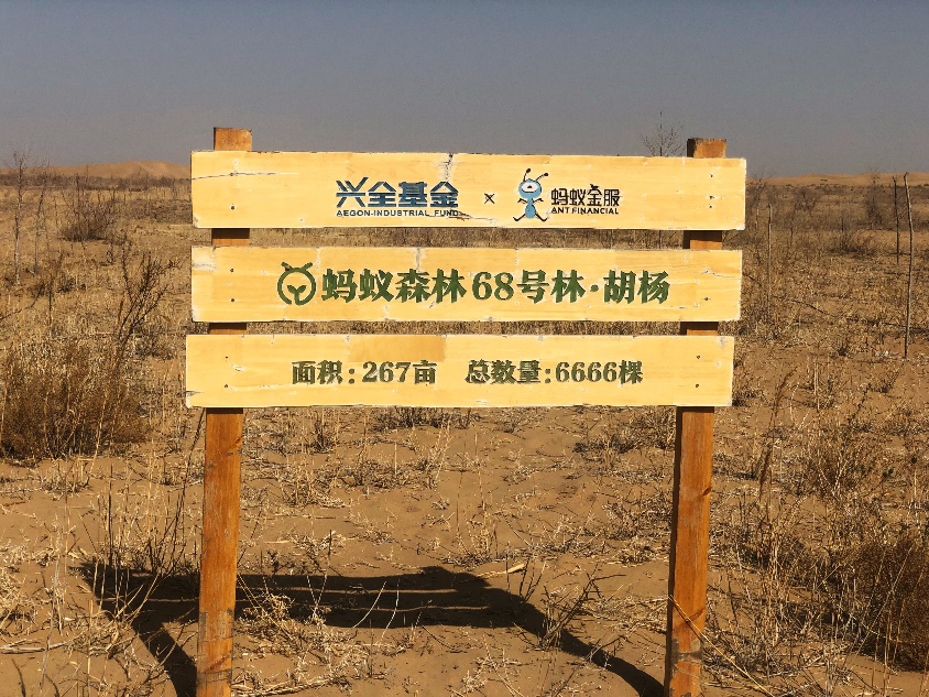 兴证全球基金蚂蚁森林胡杨68号林坐标:库布其沙漠兴证全球基金蚂蚁