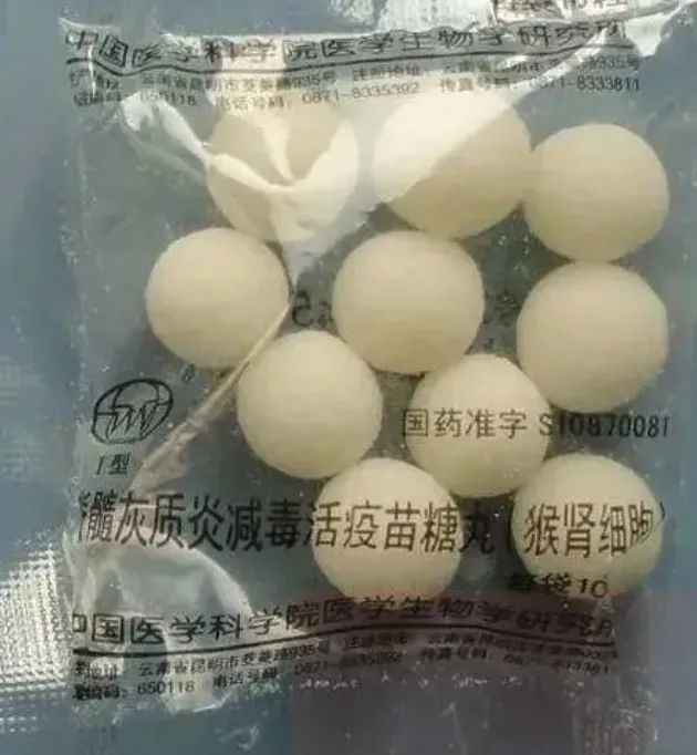 老师或者社区医生喂下的"糖丸",其实是预防脊髓灰质炎病毒感染的疫苗