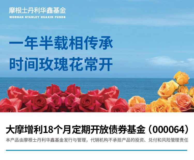 “大摩增利18个月即将盛大归来|基遇
