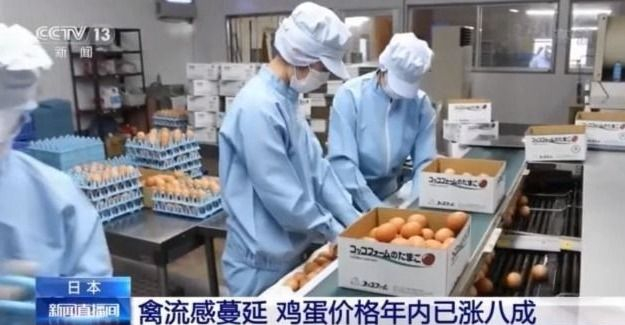 日本禽流感蔓延 鸡蛋价格年内已涨八成