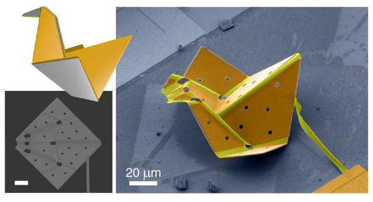 图片来源：Liu et al., Sci. Robot. 6, eabe6663 (2021)