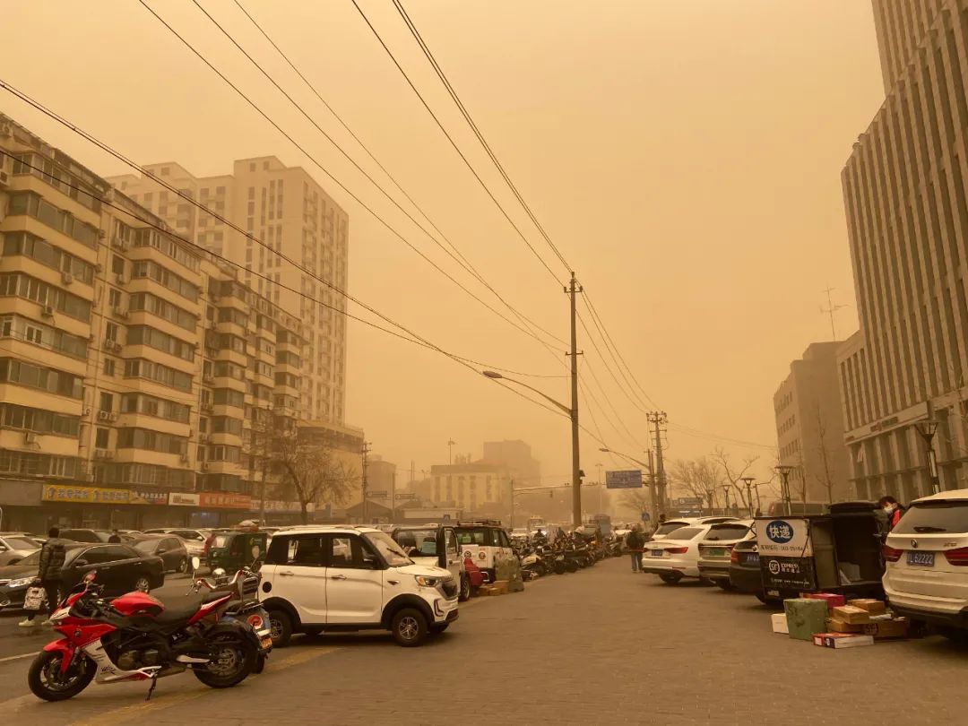 近十年最强沙尘暴来袭防护林失效了吗