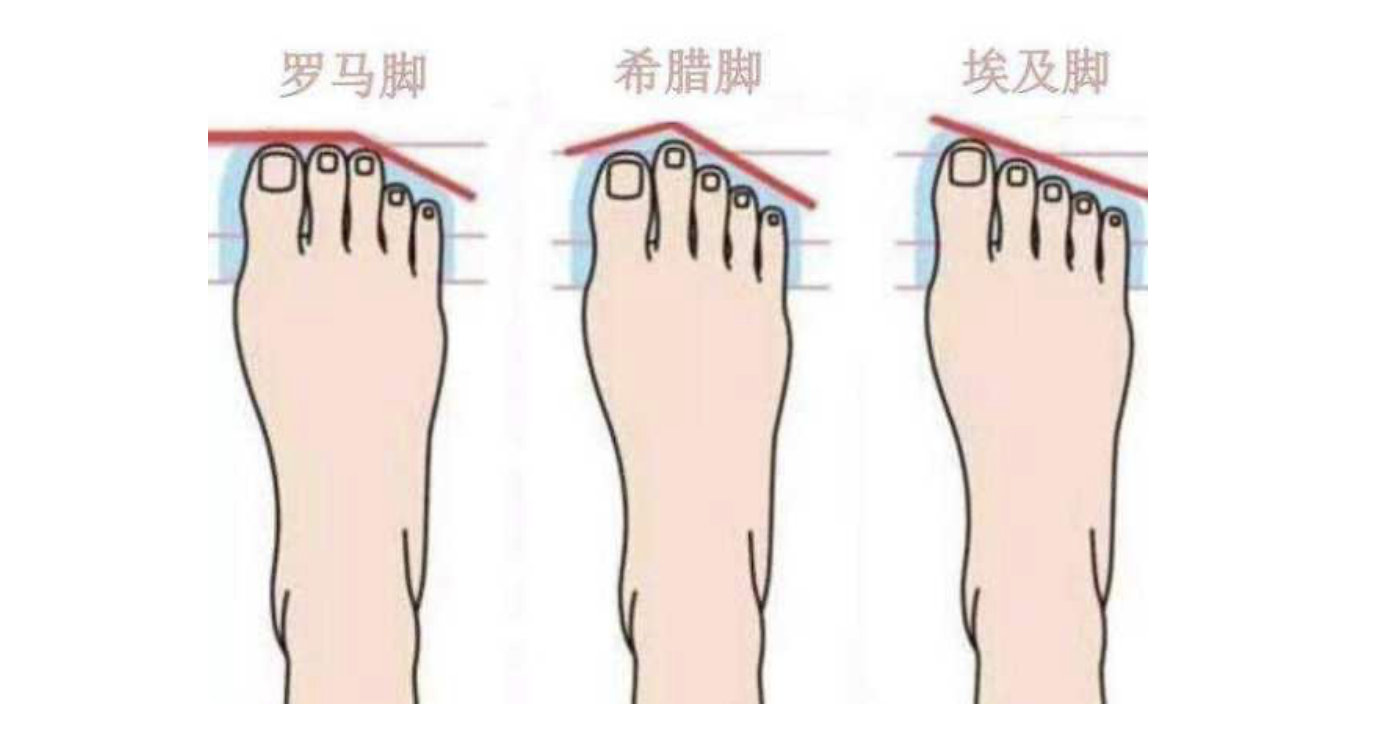 少年,我见你跑姿惊奇、\