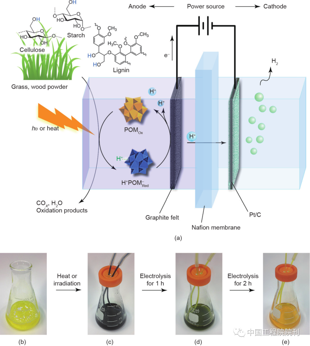 枯枝败叶 人类废弃物等生物质竟然能发电 微生物 新浪财经 新浪网