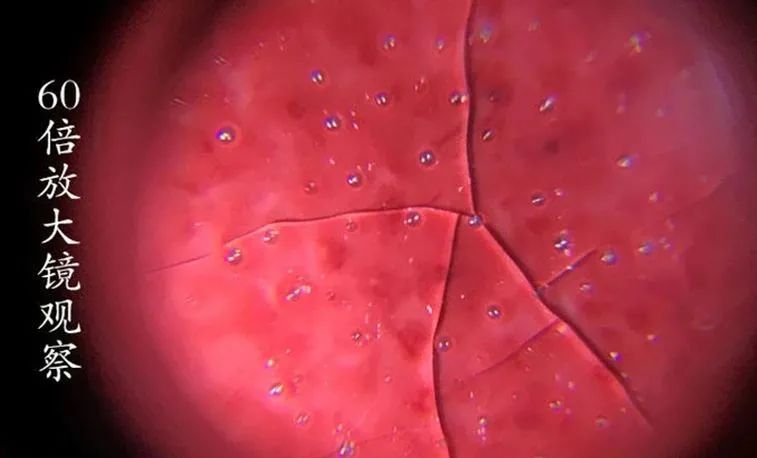 玛瑙入釉的郎窑红千红之冠真国色