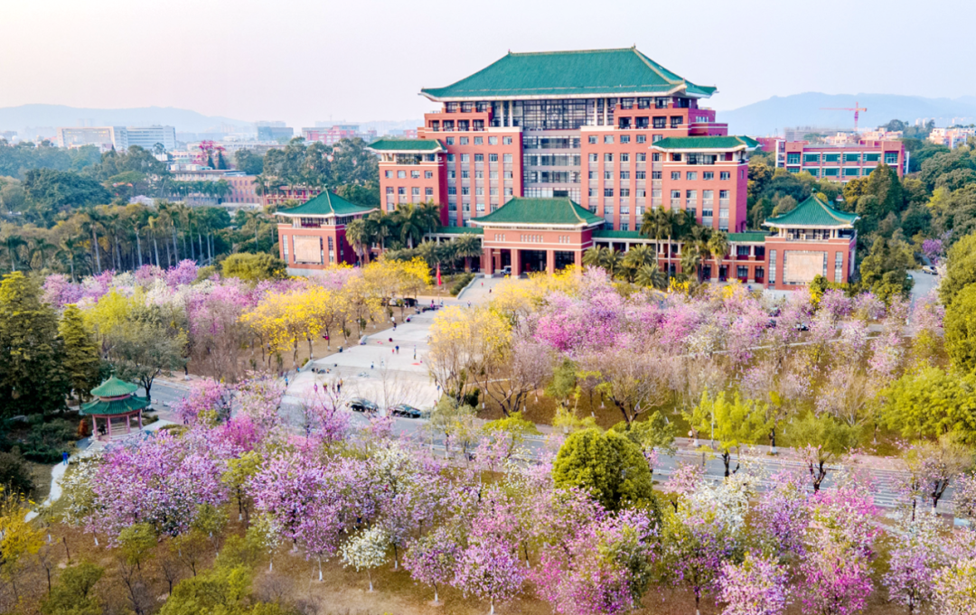 海外优青华南农大携手省实验室诚邀您申报