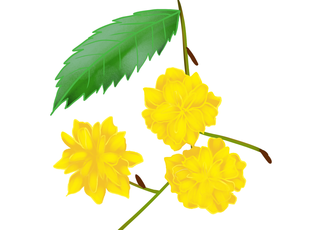 春分 昼夜平分芳菲入梦来 新浪新闻