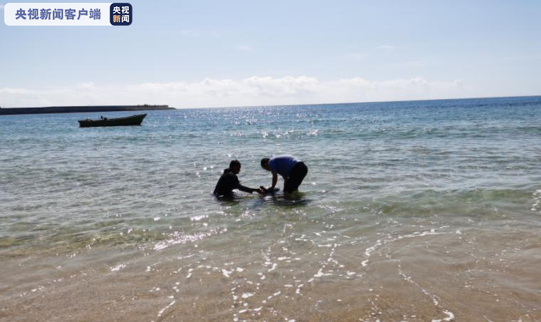 “有只海豚受伤了，快来帮忙！” 海南万宁海岸上演营救行动