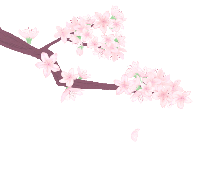 春分 昼夜平分芳菲入梦来 新浪新闻 春分 昼夜平分芳菲入梦来 新浪新闻