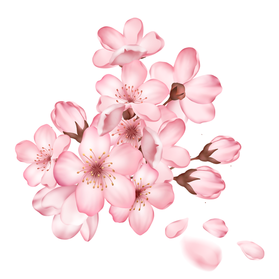 春分 昼夜平分芳菲入梦来 新浪新闻