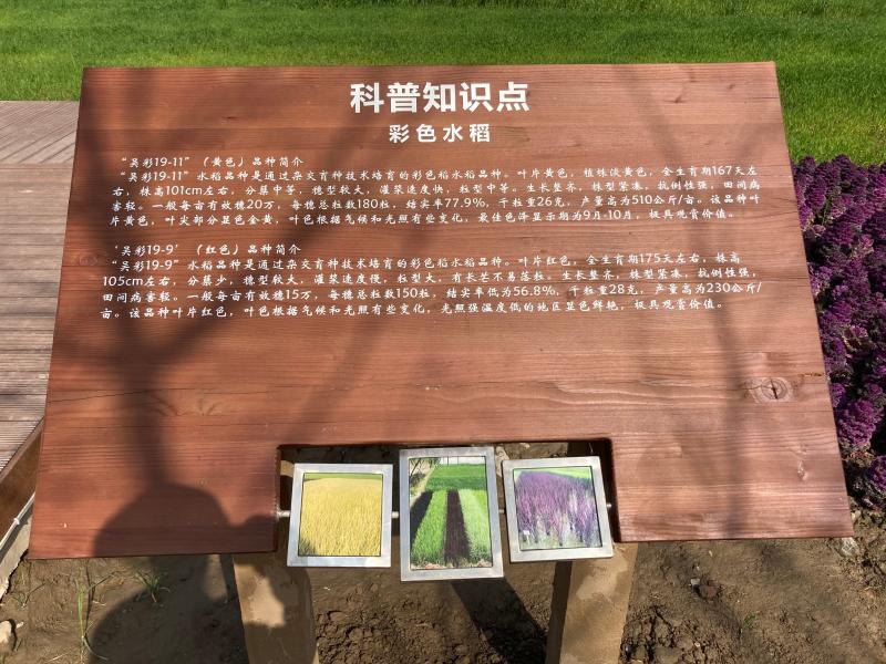 农田旁的科普展牌.&nbsp; &nbsp;吴越 摄