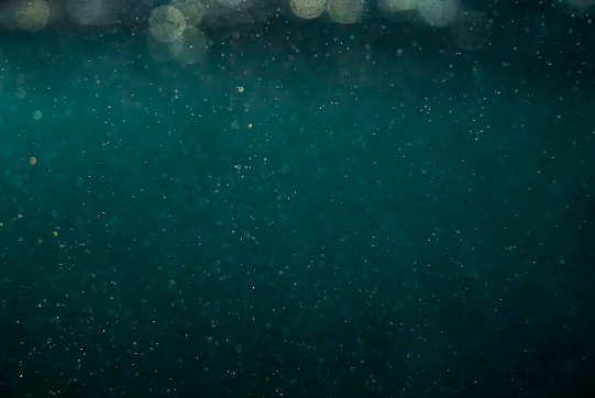 海水并不清澈丨来源:Unsplash
