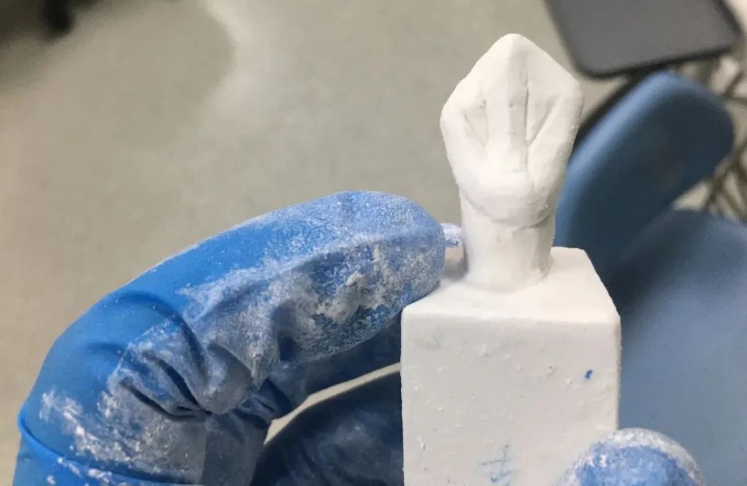 在口腔解剖生理学课程上会学习雕牙,将一个个四四方方的石膏最后雕成