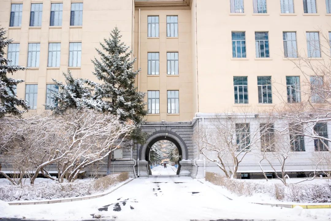 白色浪漫好一场哈工大春雪