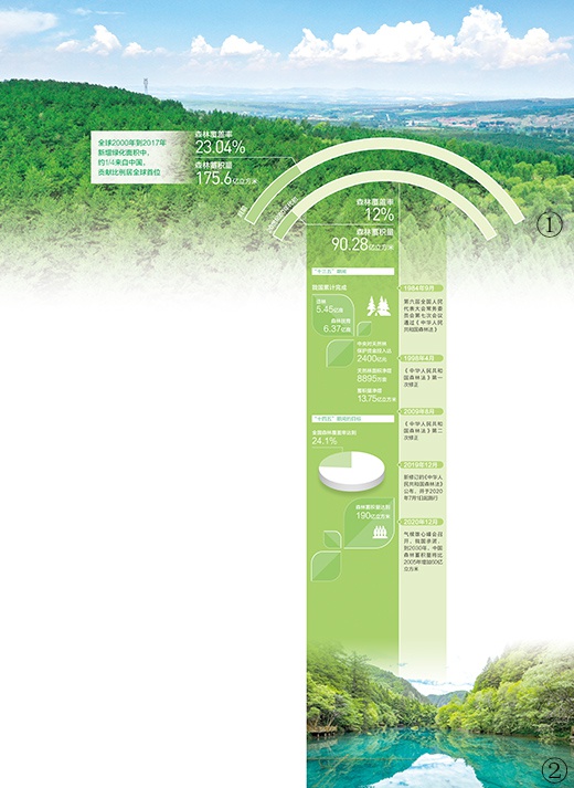“十三五”期间我国完成造林5.45亿亩