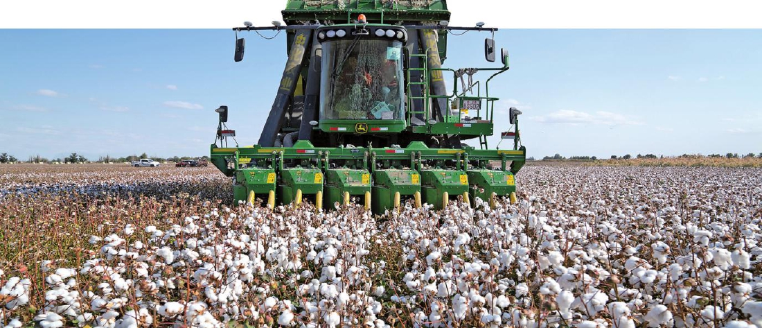 新疆家庭农场：打造农民增收致富“新引擎”