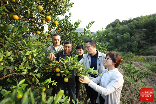 找准衔接乡村振兴着力点|乡村振兴|脱贫|村干部_新浪新闻
