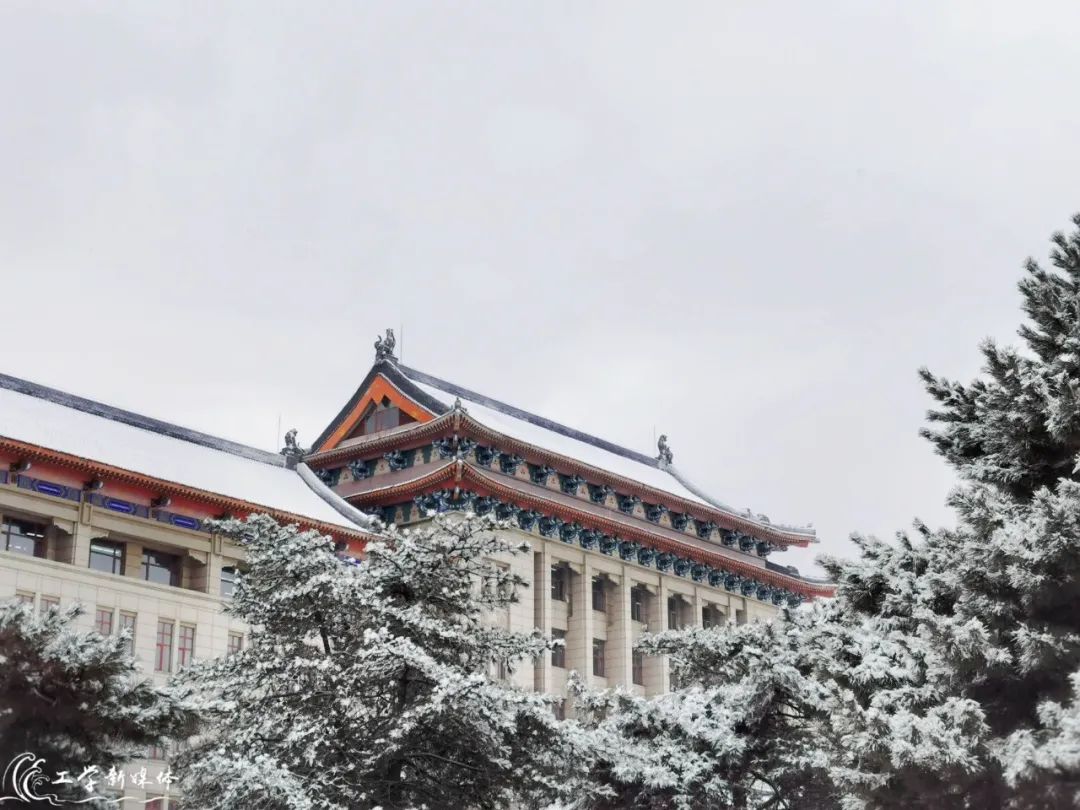 瑞雪兆百年哈工程的春天总有这朵花开得轰轰烈烈