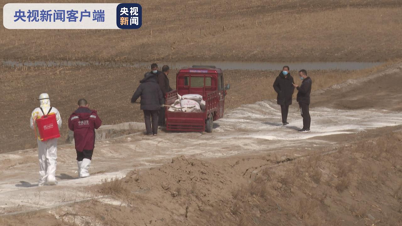 内蒙古达拉特旗黄河大堤内丢弃死猪事件追踪：已确定嫌疑人2名