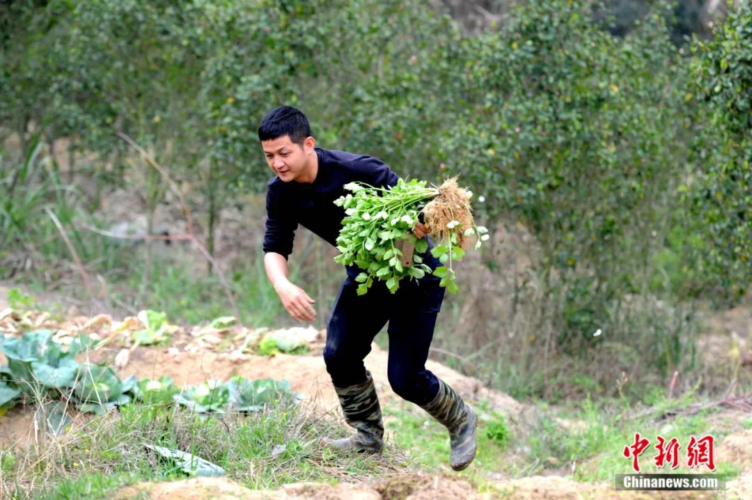 回乡种地立志当农民90后学霸夫妻的深山逐梦路