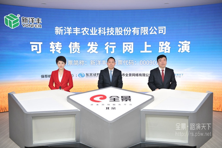 新洋丰董事,总裁黄镔,新洋丰董事,财务总监杨小红,新洋丰董事会秘书魏