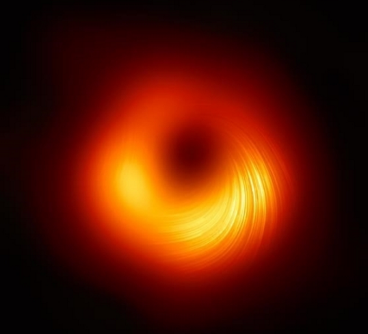 偏振光下M87超大质量黑洞的图像，图中线条标记了偏振的方向。图片来源：EHT合作组织