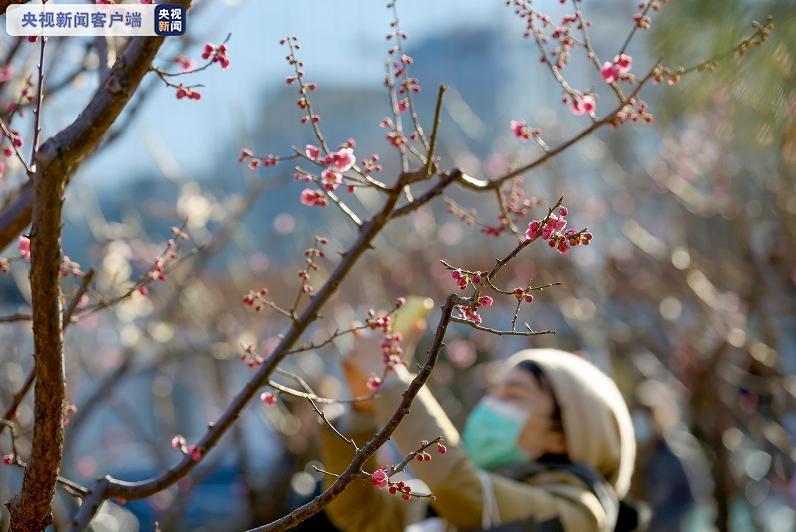 @北京市民 这172处赏花片区等你来踏青！