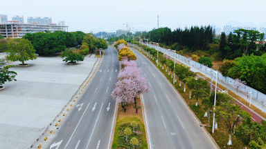 近年来，我校学科竞赛成绩始终稳步保持在全国前列，2020年更是进入了快车道：排位飙升至全国第25名，与去年相比提升了11位；2016~2020年度竞赛排行榜展示的是近5年全国各高校的学科竞赛成绩，我校位列全国第36位，与上一个5年（2015~2019）相比进步了3名。