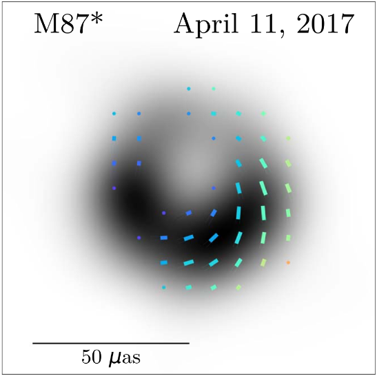 论文中公布的黑洞偏振照片 图片来源：ApJL, 910:L13 (43pp)