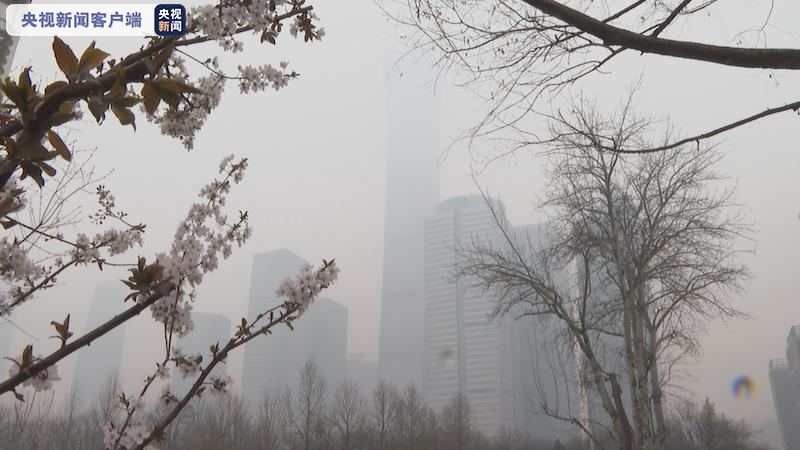 北京pm2.5浓度逐步攀升 城区达183微克立方米|北京市|北京_新浪新闻