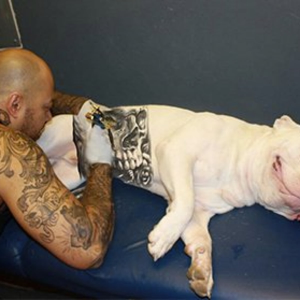 给狗纹身需要狗同意吗