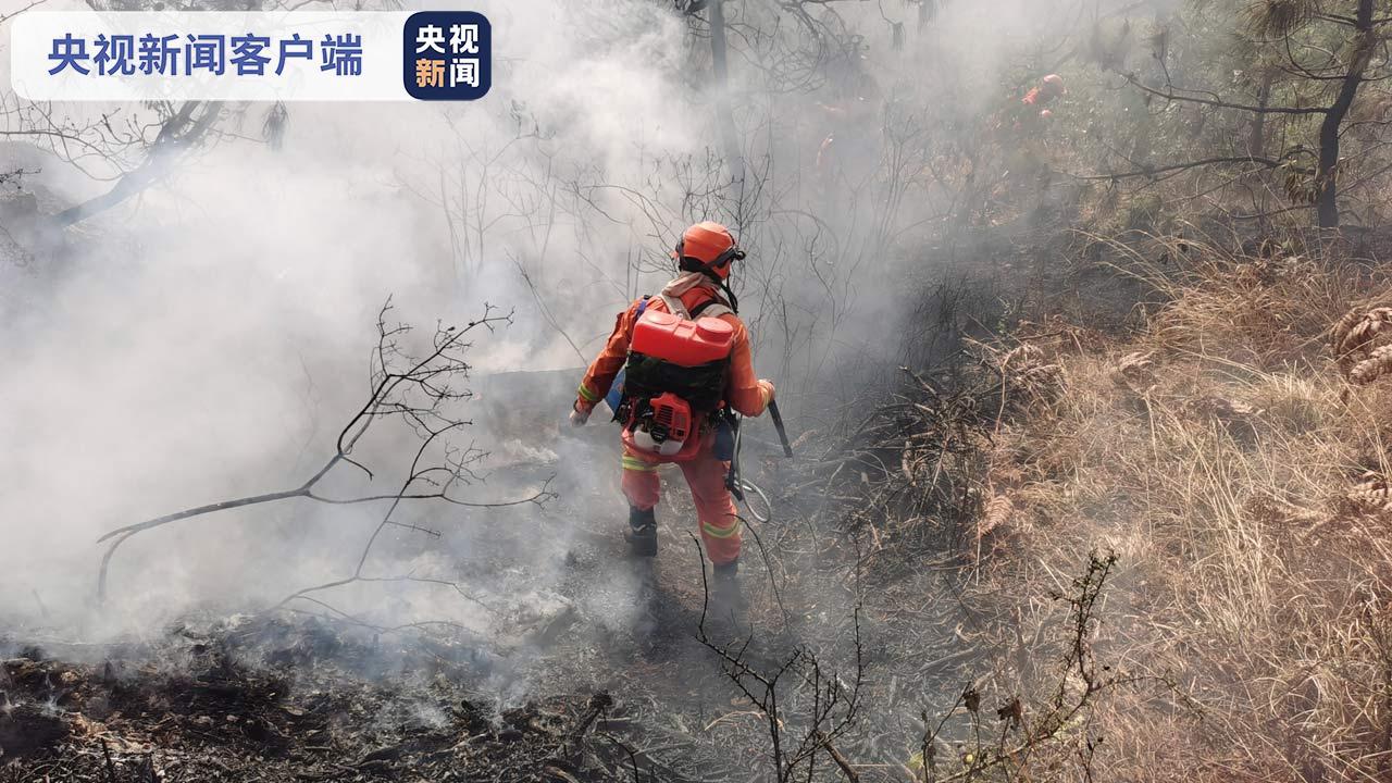 大理州祥云县清华洞林场平坝林区发生森林火灾 扑救正在进行