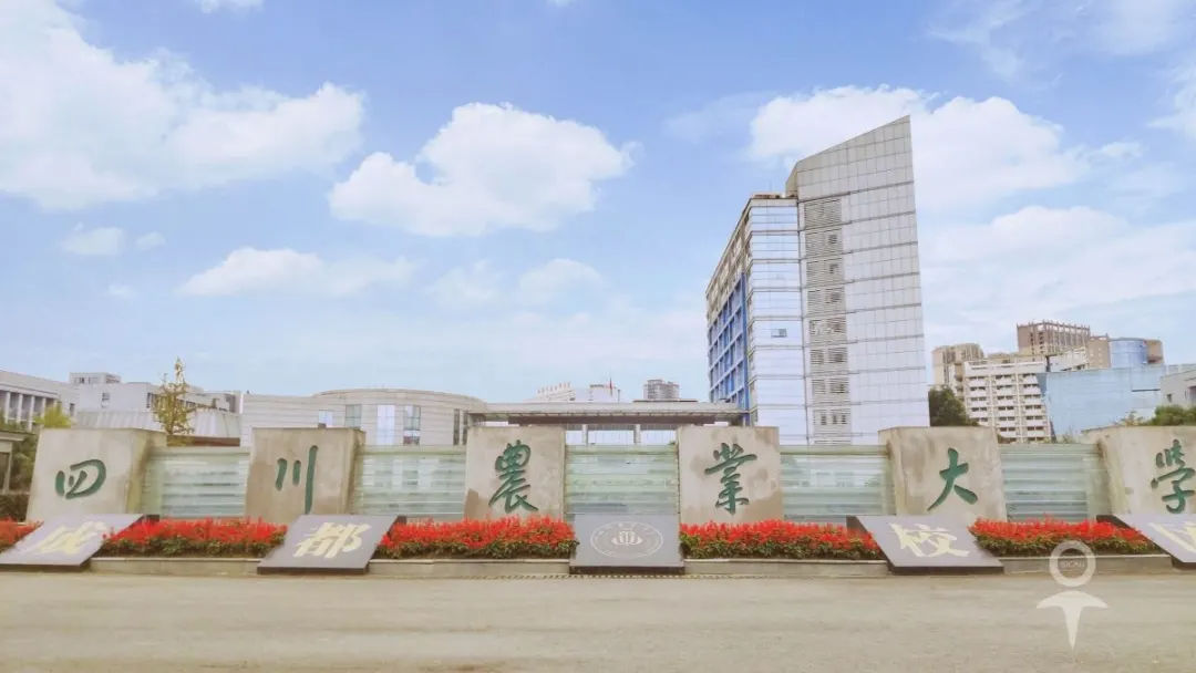 就差你了四川农业大学公开招聘