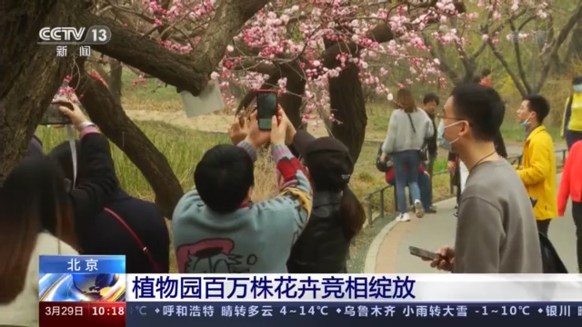 赏花啦！北京植物园百万株花卉竞相绽放