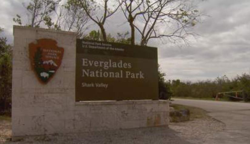 美国佛罗里达大沼泽地国家公园因出现“活跃枪手”关闭