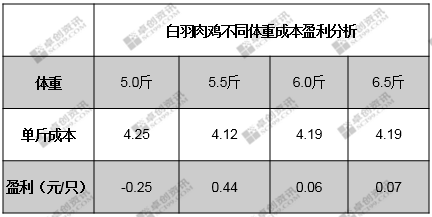频现6065斤大鸡白羽肉鸡出栏体重为何增加