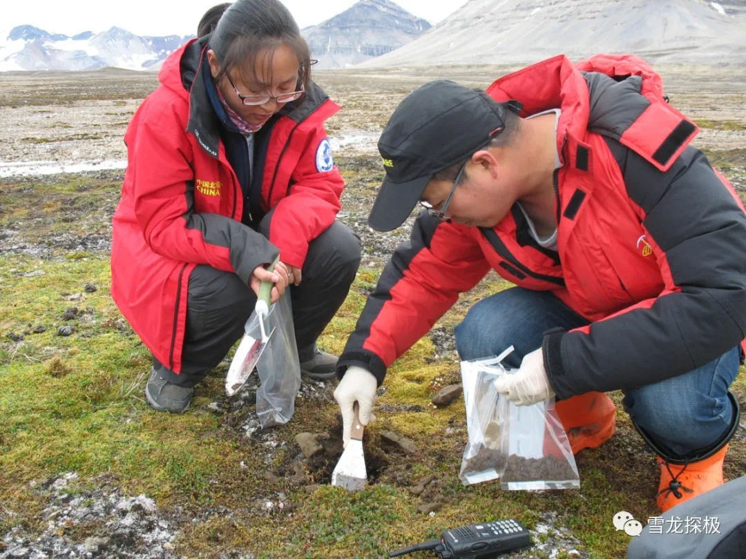 △极地微生物生态不同生境样品来源