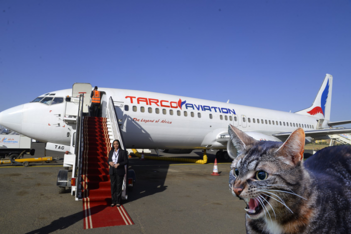 小猫闯入驾驶舱攻击机长 国外一架波音737出发30分钟后紧急返航