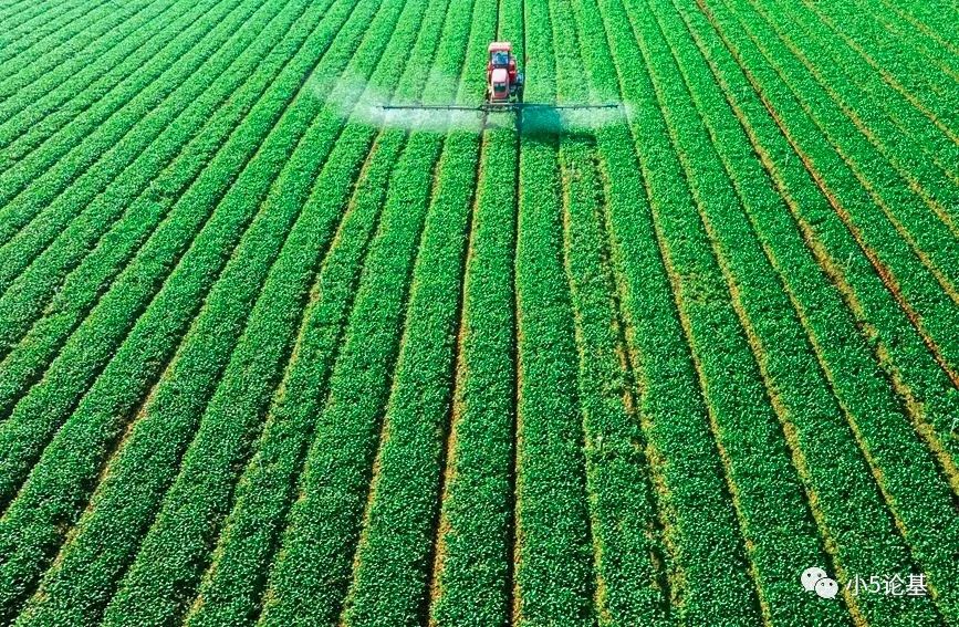 “Fund Talk | 市场下跌之后，要买什么样的基金（固收+篇）