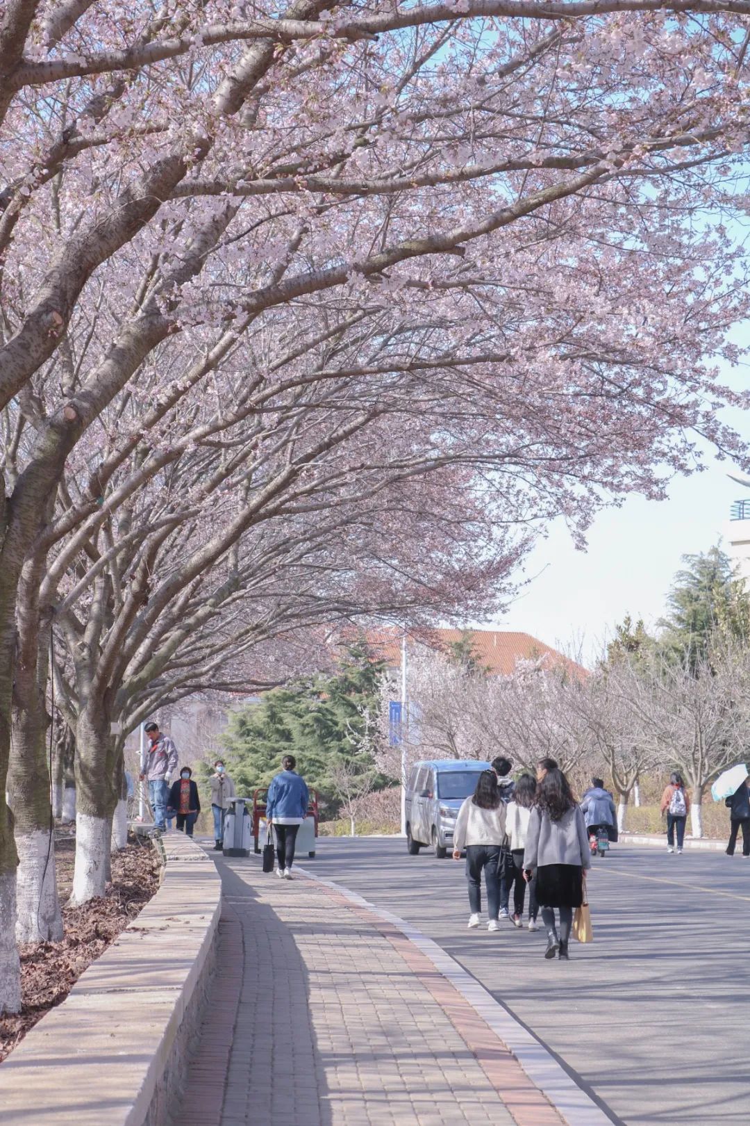 见百草权舆缱绻的云把绿雨抖落三月的风来了北方来源:中国海洋大学