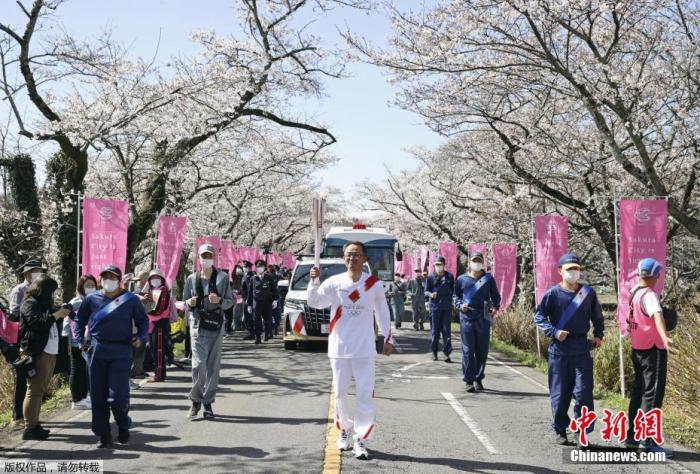 资料图：当地时间3月29日，日本栃木，2020东京奥运会火炬传递第5日，火炬在一片樱花树下传递，道路两旁樱花盛开美如画。