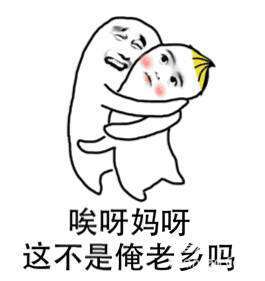 这种青菜被冠名为上海青走向世界也不忘本还获得国家科技进步奖