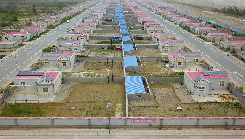 这里是新疆幸福棉长笑容绽放