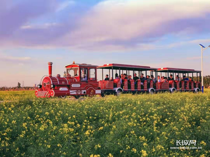 衡水安平县杨屯万亩花海景区获评国家aaa级旅游景区